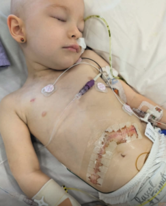 Screenshot 2026-02-11 at 12.44.40 AM